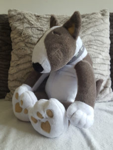 english bull terrier soft toy